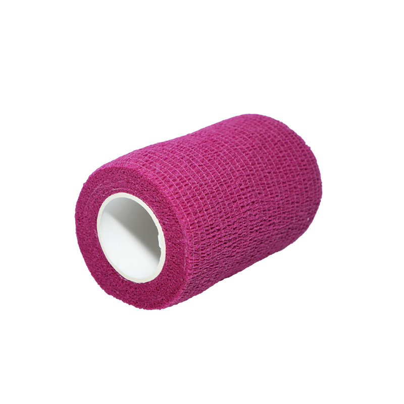 purpura sui tenaces fascia