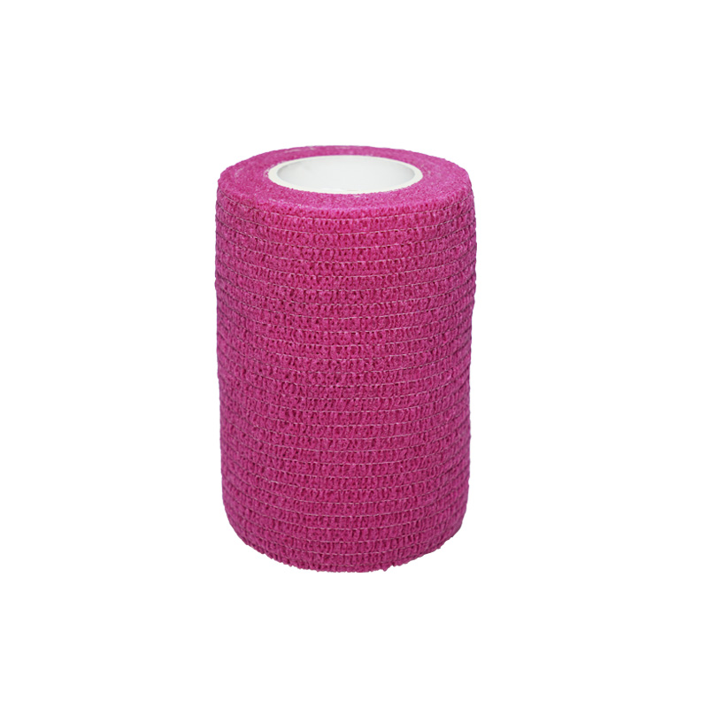 purpura sui tenaces fascia